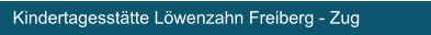 Kindertagesstätte Löwenzahn Freiberg - Zug